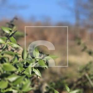 Idealno zemljište na izvrsnoj poziciji