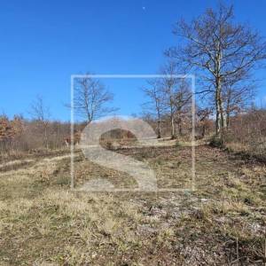 Idealno zemljište na izvrsnoj poziciji