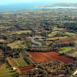 Investicijska PRILIKA - Ližnjan - 15.942m2 