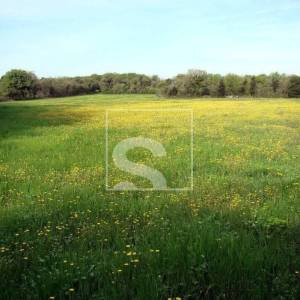 Investicijska PRILIKA - Ližnjan - 15.942m2 