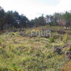 Istra, Gračišće, Lindar, građevinsko/poljoprivredno zemljište, 39.091m2