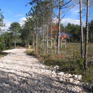 Istra, Gračišće, Lindar, građevinsko/poljoprivredno zemljište, 39.091m2