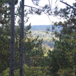 Istra, Gračišće, Lindar, građevinsko/poljoprivredno zemljište, 39.091m2