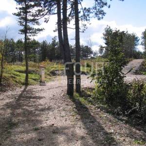 Istra, Gračišće, Lindar, građevinsko/poljoprivredno zemljište, 39.091m2