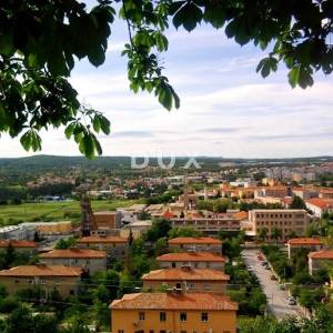 ISTRA - LABIN - VILETE - Stan u prizemlju s konobom i vrtom
