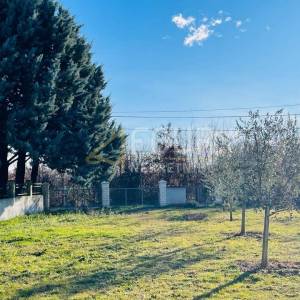 Istra, Marčana - okolica, samostojeća kuća s velikom okućnicom