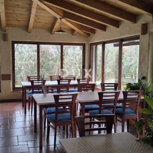 ISTRA, RABAC Restoran s uhodanim poslom, parking - BEZ ULAGANJA!!