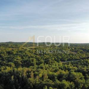 Istra, Vodnjan, građevinsko zemljište, projek kuće s bazenom