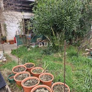 ISTRA,PULA - Prizemna etaža kuće s dva stana, 2 terase i vrtom
