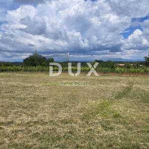 ISTRA, ŽMINJ - Građevinsko zemljište s pogledom na prirodu