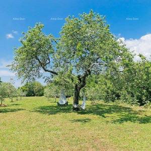 Kamena vila u blizini Pule!