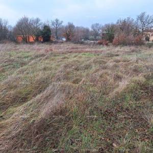 KANFANAR - Prodaje se građevinsko zemljište / građevinska dozvola