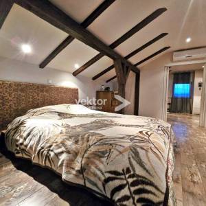 Kastav, samostojeća kuća s tri stana i pogledom na more