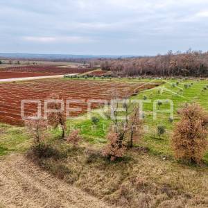 Kaštelir, Kaštelir-Labinci, 5.677,00 m2, 110.000,00 EUR