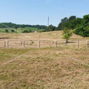 Krnjak, Krnjak, 320.942,00 m2, 965.512,00 EUR