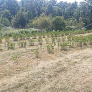 Krnjak, Krnjak, 320.942,00 m2, 965.512,00 EUR