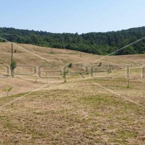 Krnjak, Krnjak, 320.942,00 m2, 965.512,00 EUR