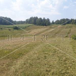 Krnjak, Krnjak, 320.942,00 m2, 965.512,00 EUR