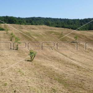 Krnjak, Krnjak, 320.942,00 m2, 965.512,00 EUR