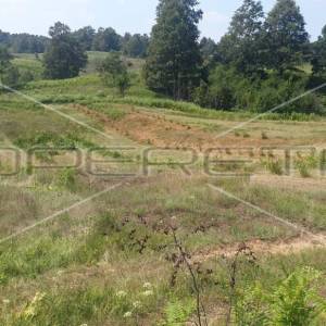 Krnjak, Krnjak, 320.942,00 m2, 965.512,00 EUR