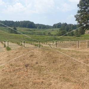 Krnjak, Krnjak, 320.942,00 m2, 965.512,00 EUR