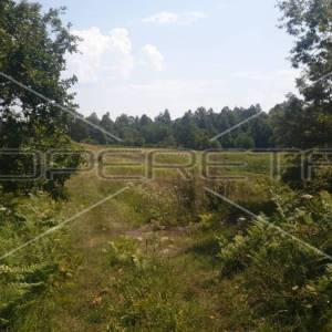 Krnjak, Krnjak, 320.942,00 m2, 965.512,00 EUR