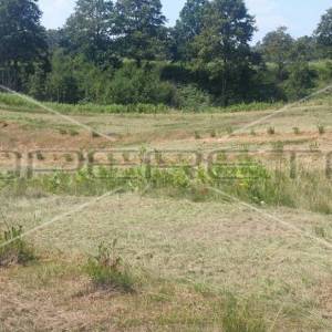 Krnjak, Krnjak, 320.942,00 m2, 965.512,00 EUR