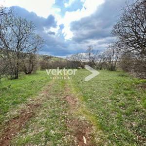 Kukuljanovo, zemljište u industrijskoj zoni