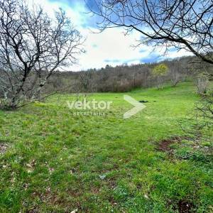 Kukuljanovo, zemljište u industrijskoj zoni