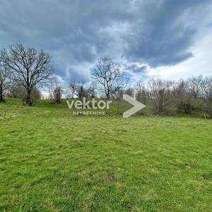 Kukuljanovo, zemljište u industrijskoj zoni