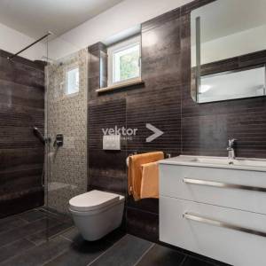 Labin, prizemnica s bazenom i 9.400m2 okućnice 