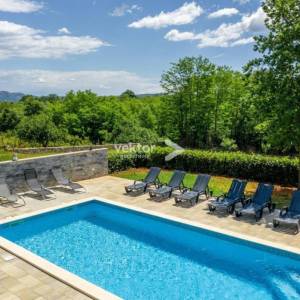 Labin, prizemnica s bazenom i 9.400m2 okućnice 