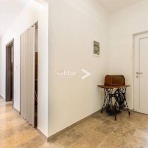 Labin, prizemnica s bazenom i 9.400m2 okućnice 