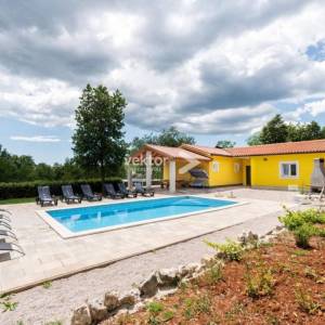 Labin, prizemnica s bazenom i 9.400m2 okućnice 