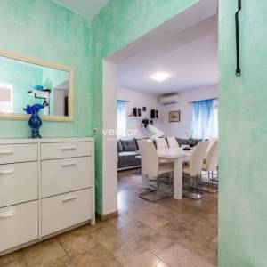 Labin, prizemnica s bazenom i 9.400m2 okućnice 