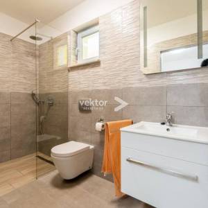 Labin, prizemnica s bazenom i 9.400m2 okućnice 