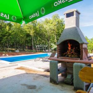 Labin, prizemnica s bazenom i 9.400m2 okućnice 