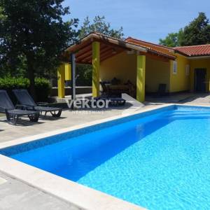 Labin, prizemnica s bazenom i 9.400m2 okućnice 