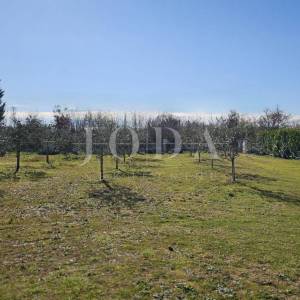 Lijepa opremljena kuća sa 4 građ.parcele 4.200m2,LOBORIKA