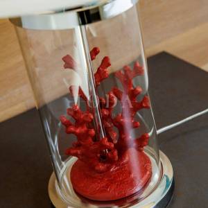 Luksuzna kuća u 1. redu do mora