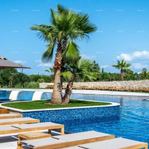 Luksuzni resort s krovnim infinity bazenom!