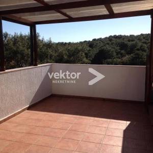 Mali Lošinj, Artatore, kuća sa tri apartmana 