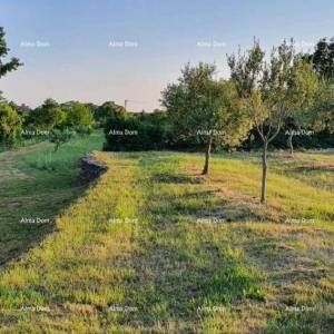 MARČANA FILIPANA - građevinski teren