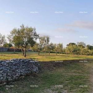 MARČANA FILIPANA - građevinski teren