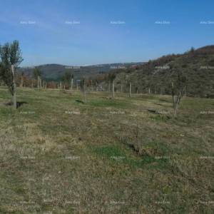 Momjan – prodaja građevinskog zemljišta na odličnoj lokaciji.