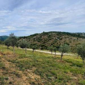 Momjan – prodaja građevinskog zemljišta na odličnoj lokaciji.