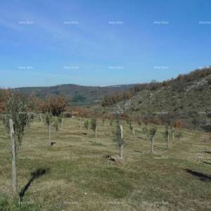 Momjan – prodaja građevinskog zemljišta na odličnoj lokaciji.