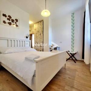 Motovun, okolica, aktraktivna nekretnina za investiciju