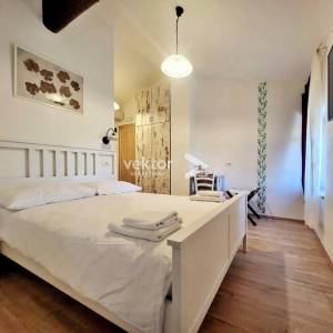 Motovun, okolica, aktraktivna nekretnina za investiciju