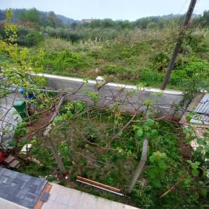 NA PRODAJU – Kuća s dva odvojena stana, Premantura